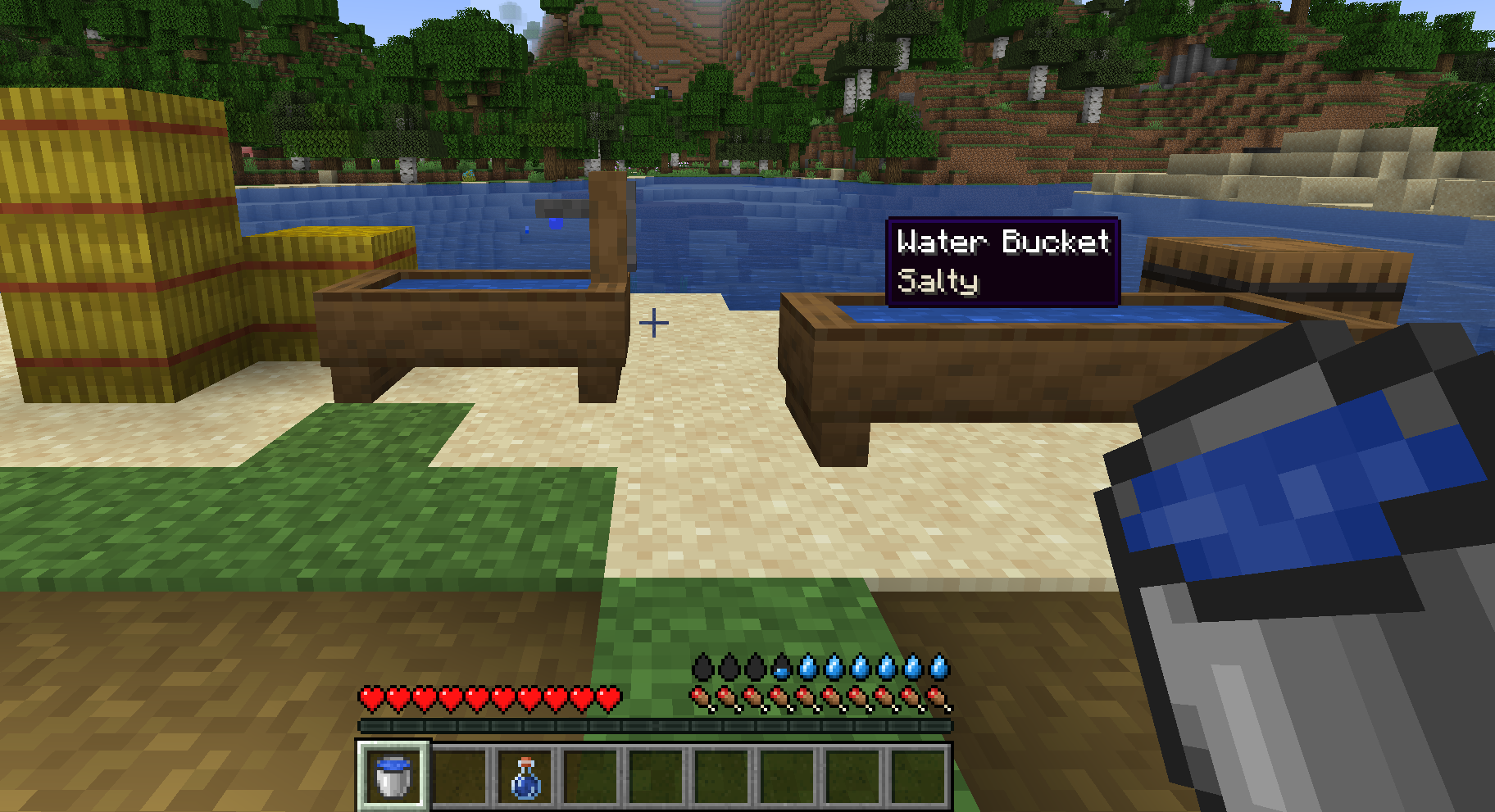 A player at a Timber Well on a sandy shore, holding the bucket just drawn from it, its tooltip reading Salty