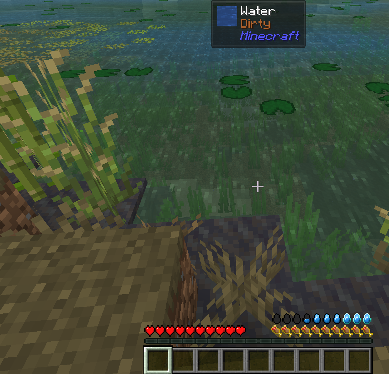 Looking at the water of a No Man's Land Bog, with Jade naming it Dirty